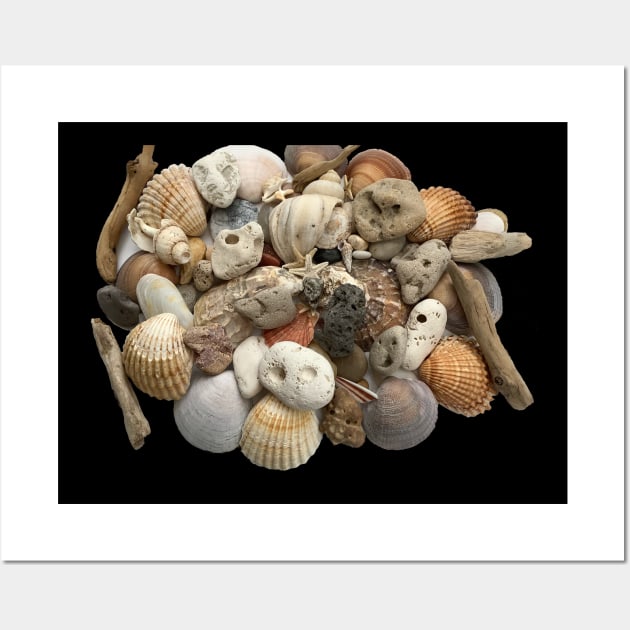 Treasures from the Seashore Wall Art by Naturalart